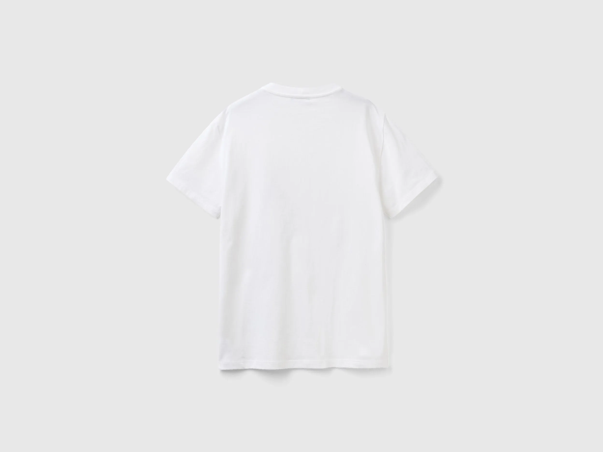 Regular Fit Crew Neck Printed T-Shirt