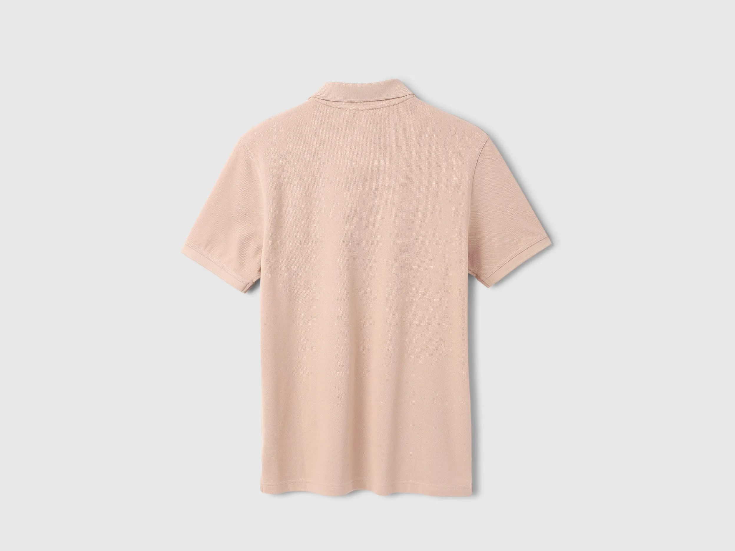 Regular Fit Polo Neck Solid T-Shirt